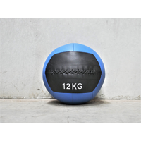 Wall Ball 12KG